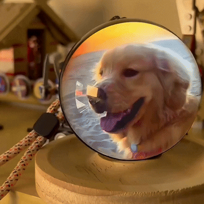 Memory Capsul, Custom Video 3D Crystal Sphere, Gift for Pet Lover